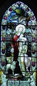 The good shepherd cares for the sheep   